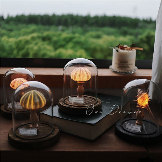 DIY Conch Night Light Ornaments Handmade Pack